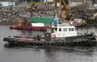 Barcos de trabalho à venda