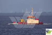 Barcos de trabalho à venda