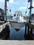 Navio de pesquisa à venda