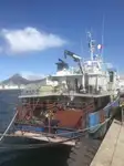 Navio Reefer à venda