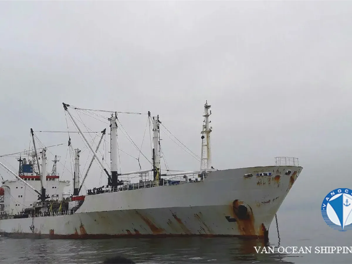 Navio frigorífico à venda