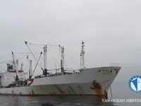 Navio frigorífico à venda