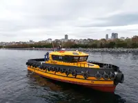 Barcos de trabalho à venda