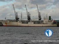 Navio frigorífico à venda
