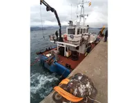 Barcos de trabalho à venda