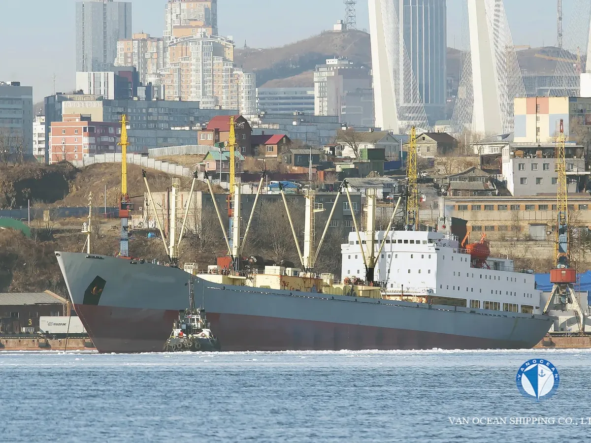Navio frigorífico à venda