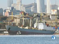 Navio frigorífico à venda