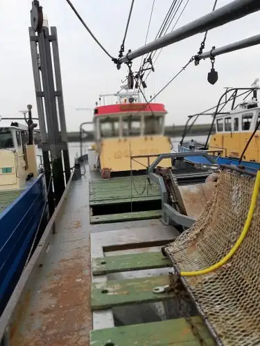 Navio de pesca de arrasto à venda