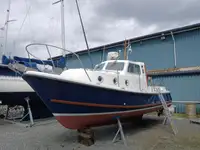 Barcos de trabalho à venda
