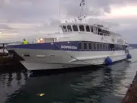Navio de passageiros à venda