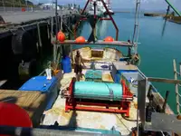 Trawler à venda