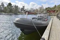 Bote inflável rígido à venda