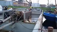 Draga à venda