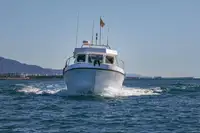 Navio de transporte de passageiros (Ferry) à venda