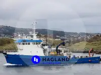 Suporte de mergulho à venda