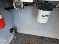 Navio de processamento de peixe à venda