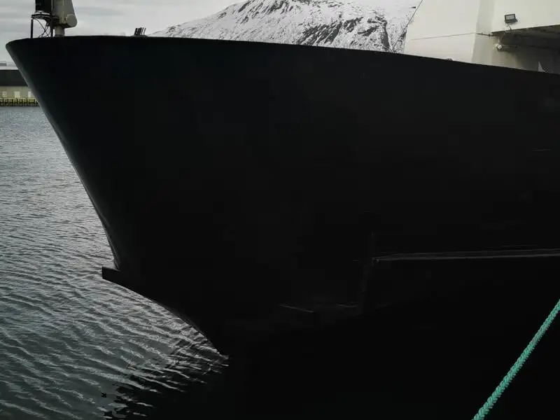 Navio Ro-Ro à venda