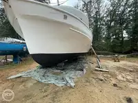 Navio de pesca de arrasto à venda