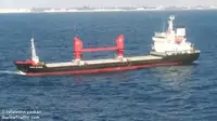 Navio graneleiro à venda