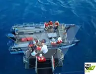 Navio de cruzeiro à venda