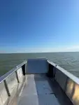 Balsa de desembarque, tanque à venda