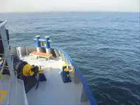 Navio frigorífico à venda
