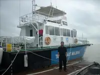 Barco patrulha à venda