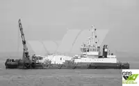 Barcos de trabalho à venda