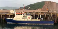 Barcos de trabalho à venda