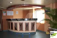 Ro-Ro ship à venda