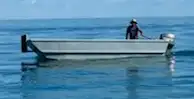 Barcos de trabalho à venda