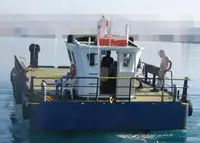 Barcos de trabalho à venda