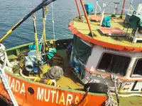 Barcos de trabalho à venda