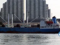 Navio frigorífico à venda