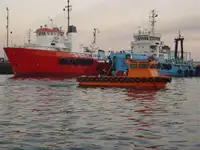 Barcos de trabalho à venda