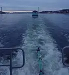 Barcos de trabalho à venda