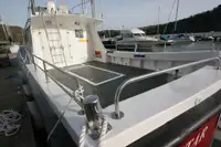 Barcos de trabalho à venda
