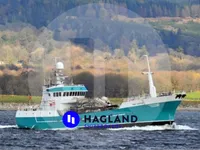 Embarcação para Aquicultura / Criação de Mariscos à venda