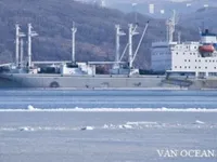 Navio frigorífico à venda
