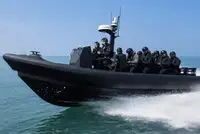 Bote inflável rígido à venda
