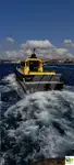 Navio de serviço para parques eólicos à venda