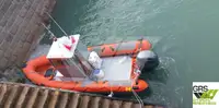 Barco inflável rígido à venda