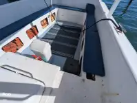 Navio de cruzeiro e ferry à venda