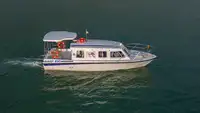 Navio de cruzeiro à venda