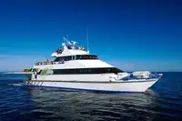 Catamarã à venda