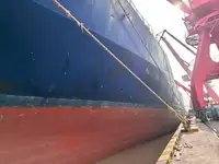 Navio frigorífico à venda