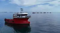 Barcos de trabalho à venda