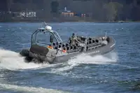Bote inflável rígido à venda