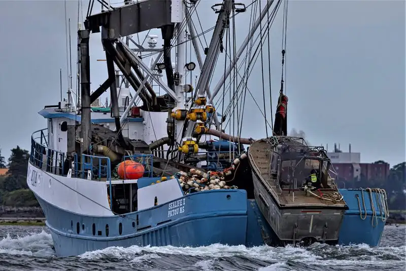 Navio de pesca de cerco à venda
