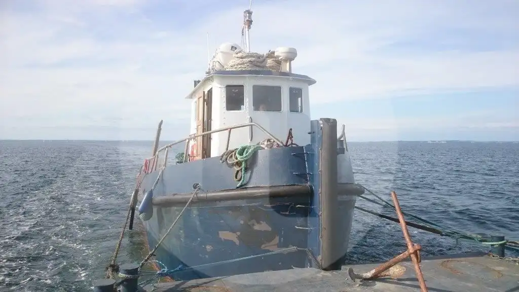 Barcos de trabalho à venda